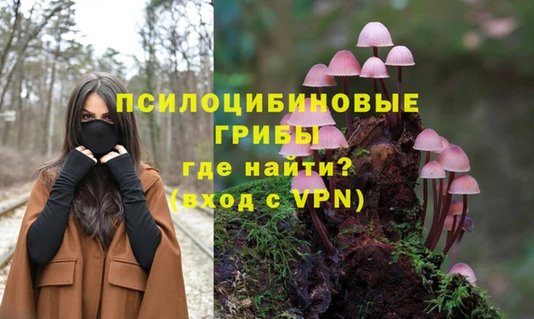 шишки Заволжье