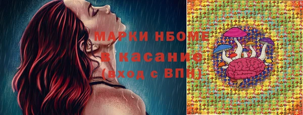 шишки Заволжье