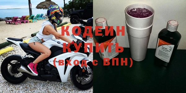 шишки Заволжье