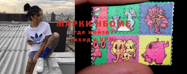 шишки Заволжье