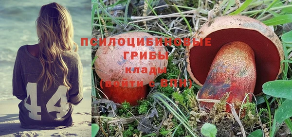 шишки Заволжье