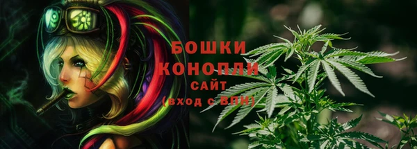 ешки Заводоуковск