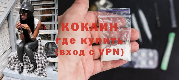 шишки Заволжье