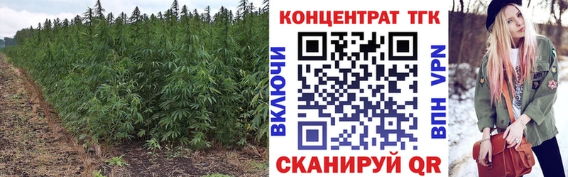 Дистиллят ТГК Wax  Купить где  Северская 