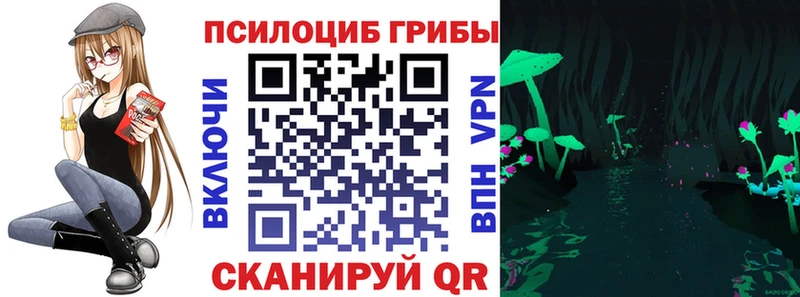 Псилоцибиновые грибы Psilocybe  Купить закладки  Северская 